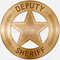 vintage-bronze-badge-deputy-sheriff-star-vector-illustration-152918494